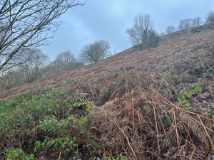 Photo 8- click for photo gallery